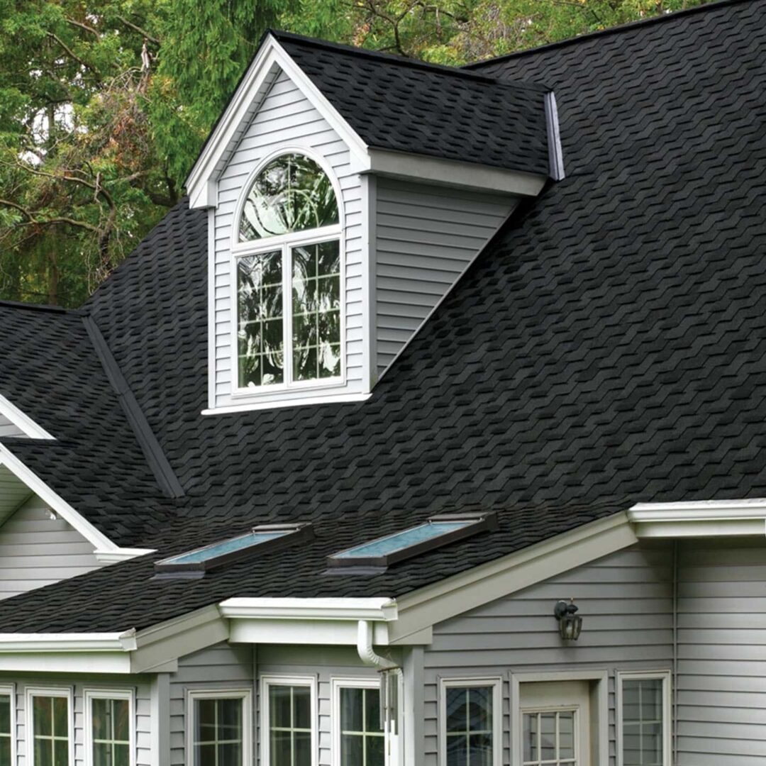 Black shingle roof with dormer window and skylights on a gray house.