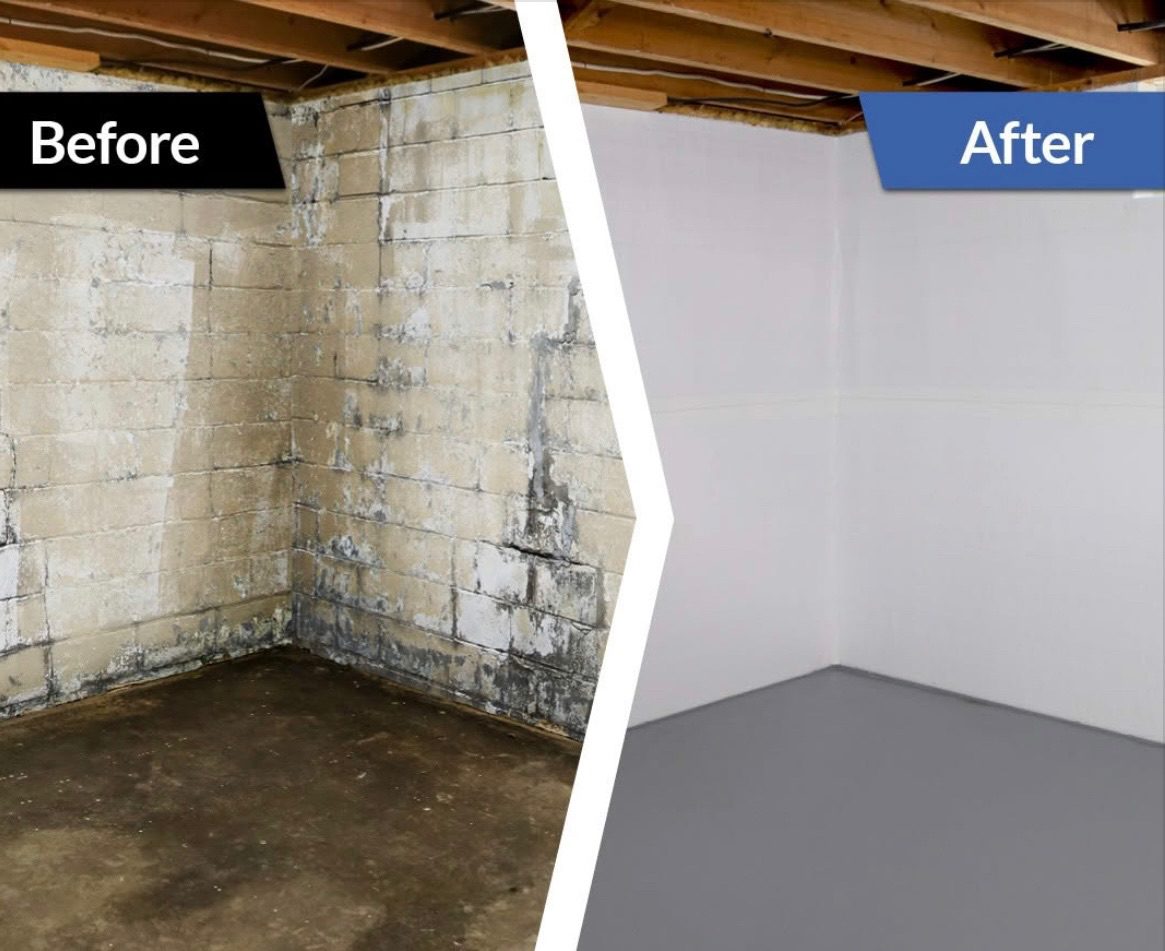 Basement transformation from damp, moldy walls to clean, painted surfaces.